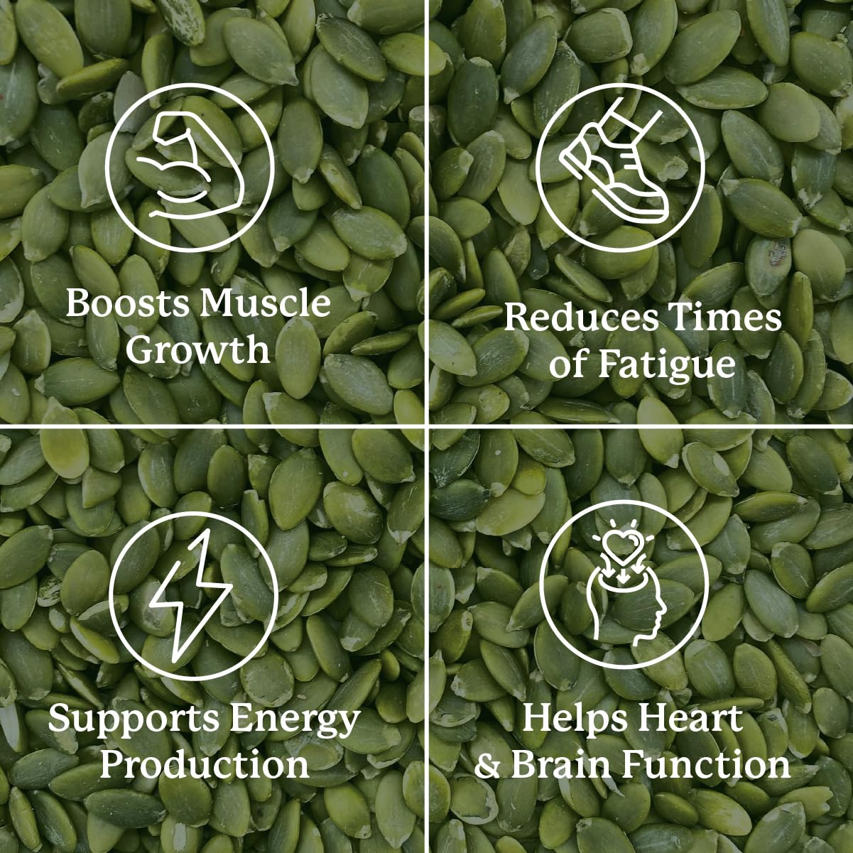 Manufacturing facility in Utah, USA