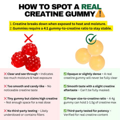 Label indicating product is made in USA GMP-certified facility