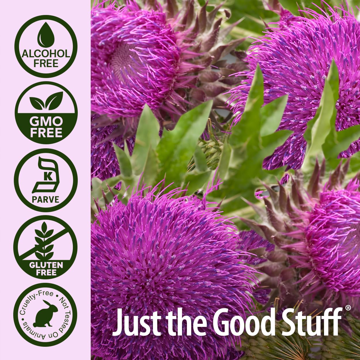 Made in the USA milk thistle extract bottle.