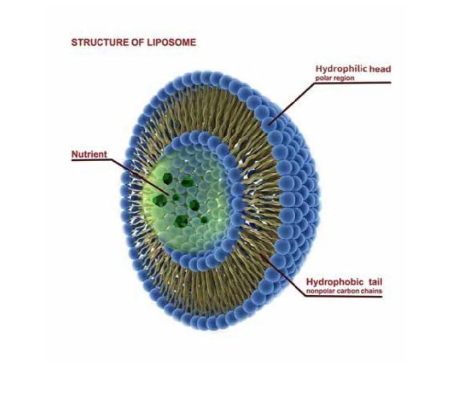 Made in USA seal on packaging