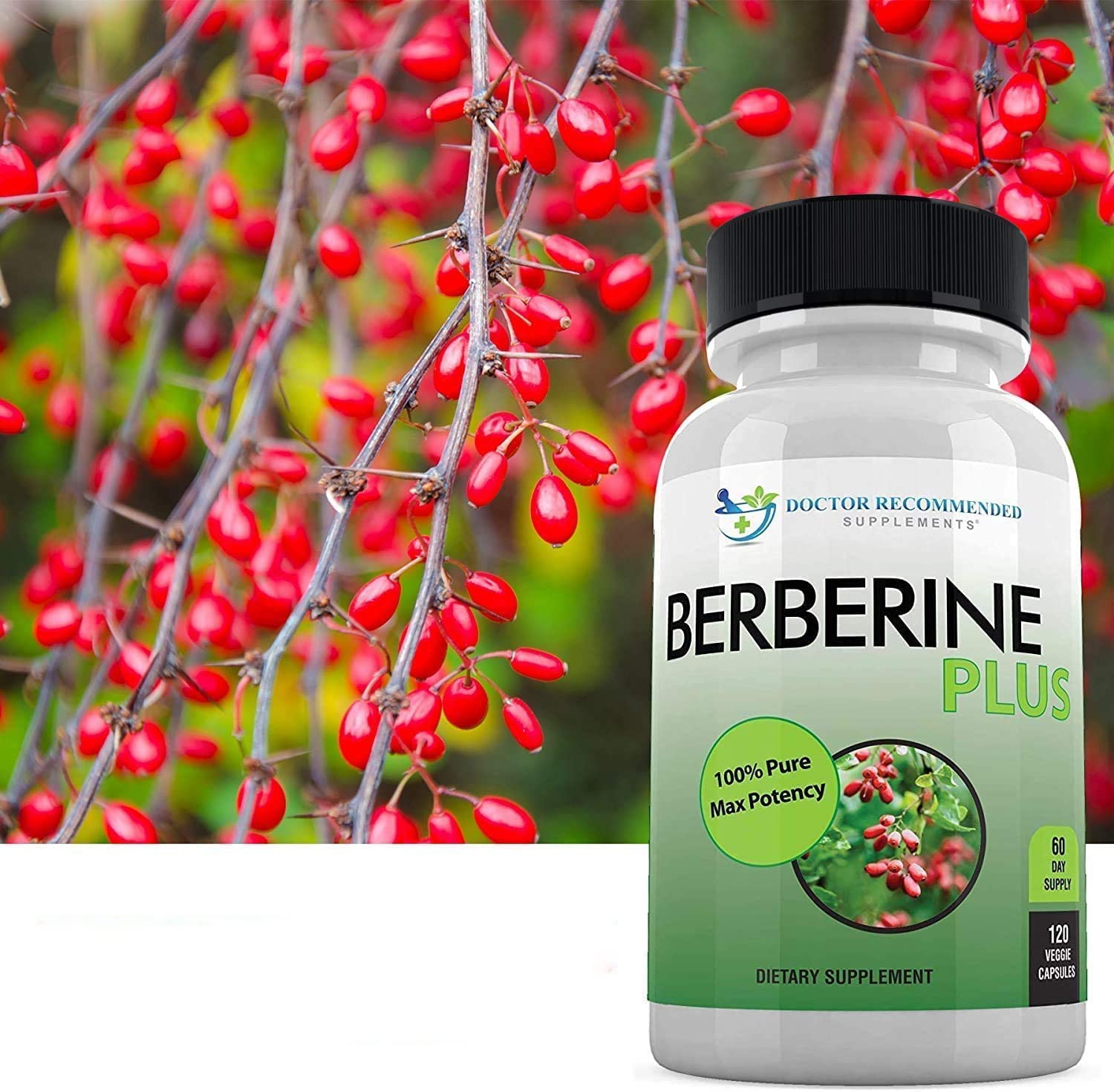 Made in USA, third-party tested Berberine supplement