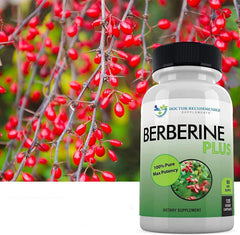 Made in USA, third-party tested Berberine supplement
