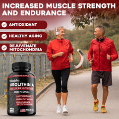 Made in USA Vitalpha packaging