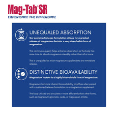 Graphic illustrating sustained-release magnesium absorption