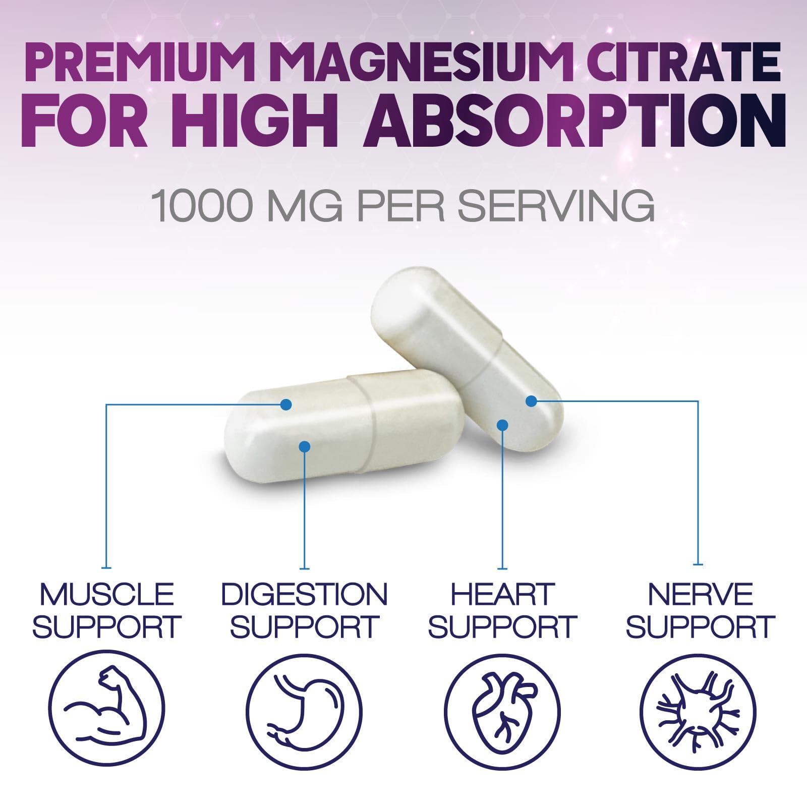 Digestive support graphic related to Magnesium Citrate 1000mg