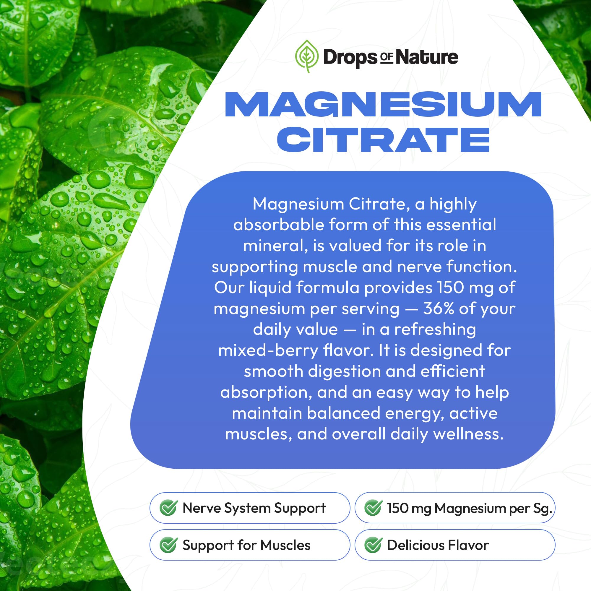 Magnesium citrate liquid supporting heart and nerve health