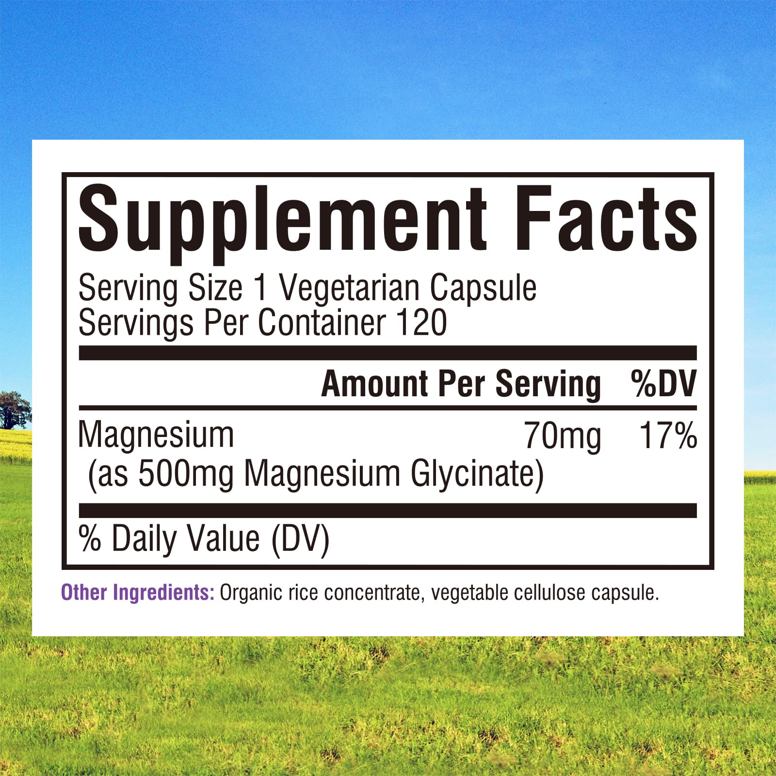 Graphic showing 70mg elemental magnesium per capsule