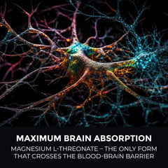 90-count Magnesium L-Threonate capsules