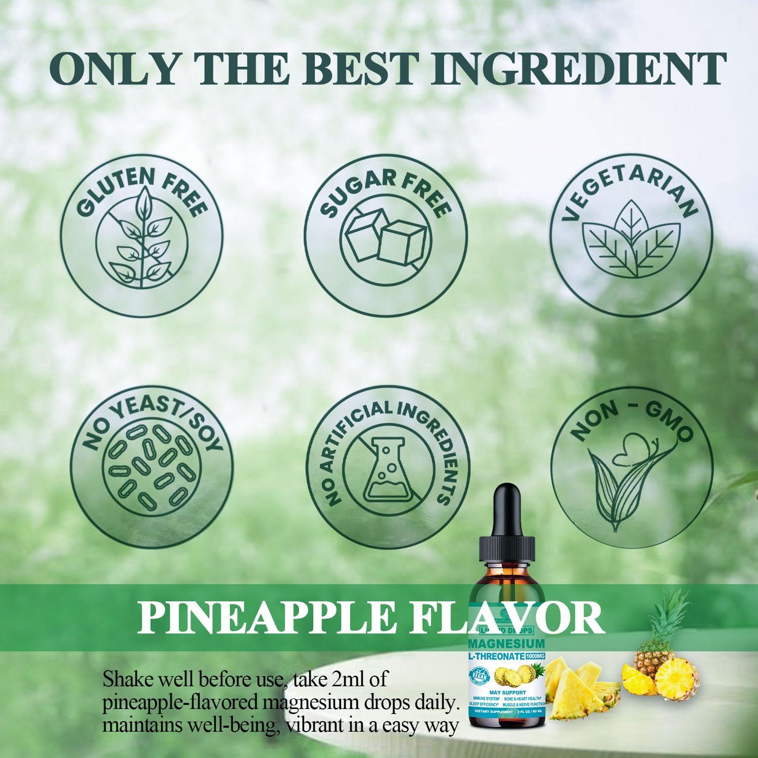 Non-GMO vegan clean label certification icons