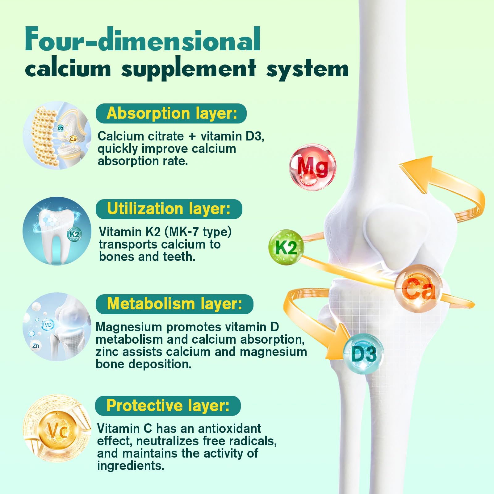 Nutrition panel highlighting magnesium, zinc, and vitamin C in the gummies