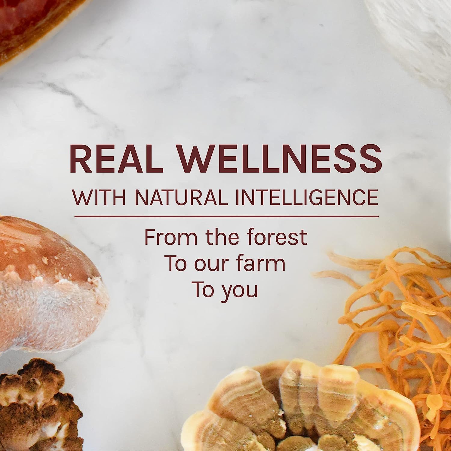 Liquid dropper of Maitake extract in bottle