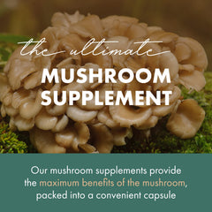Fruiting body Maitake mushrooms used in the supplement