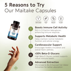 Maitake mushroom extract from 100% fruiting bodies (Grifola frondosa)