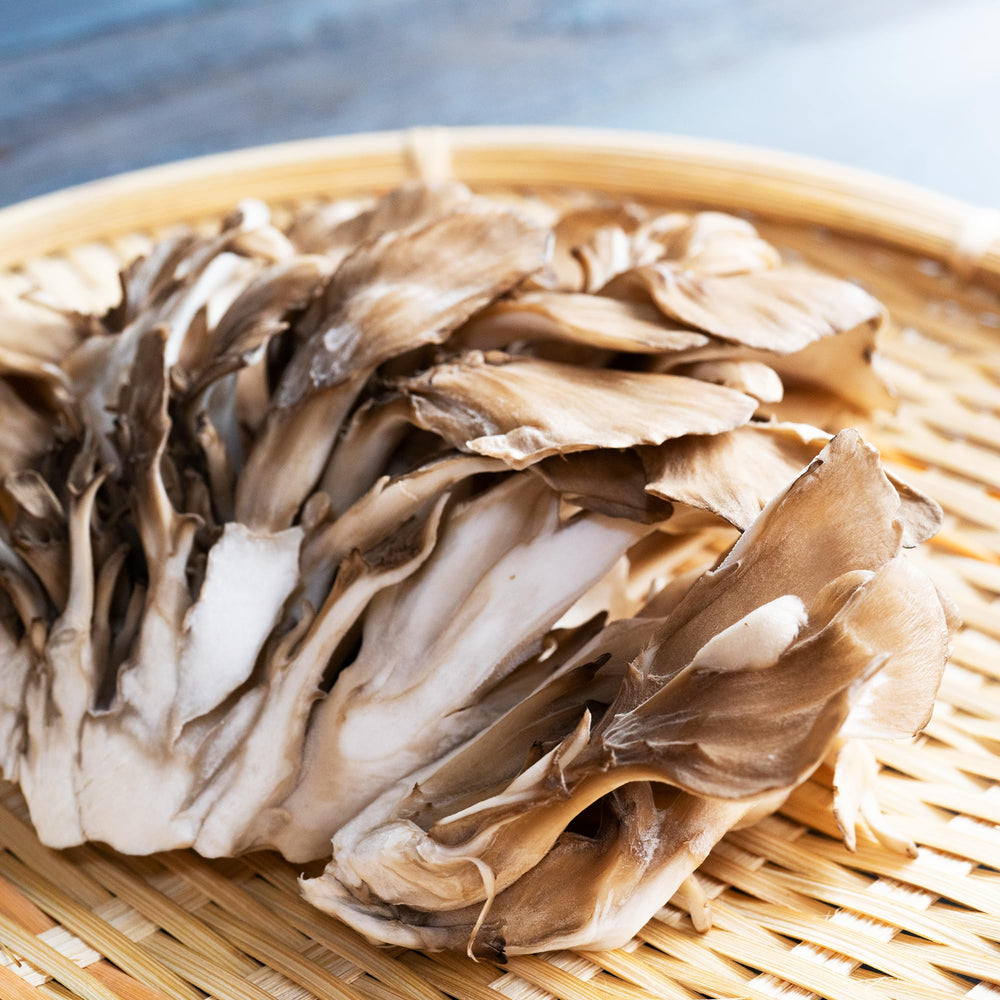 Maitake mushroom powder 1lb packaging