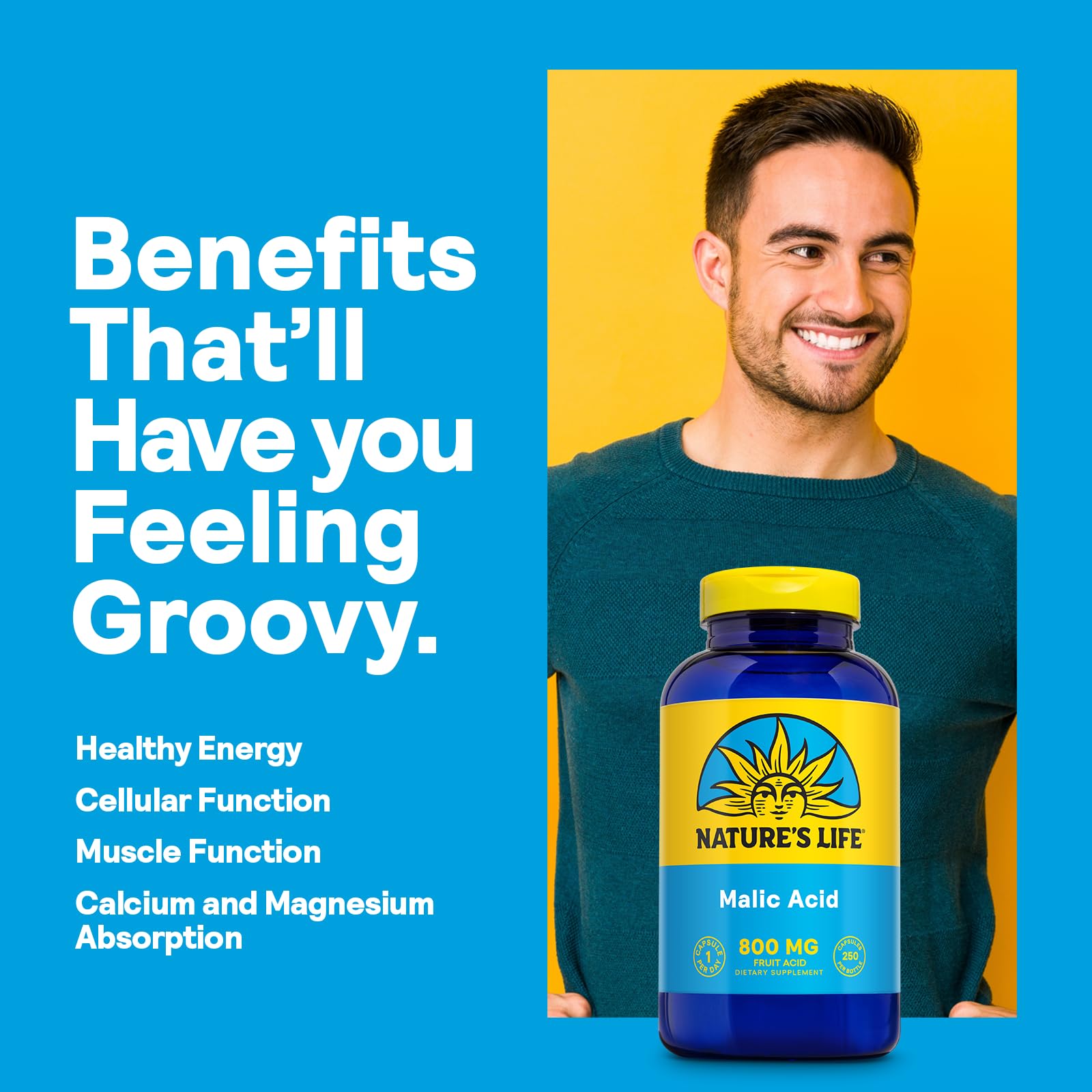 Graphic illustrating malic acid supporting cellular energy