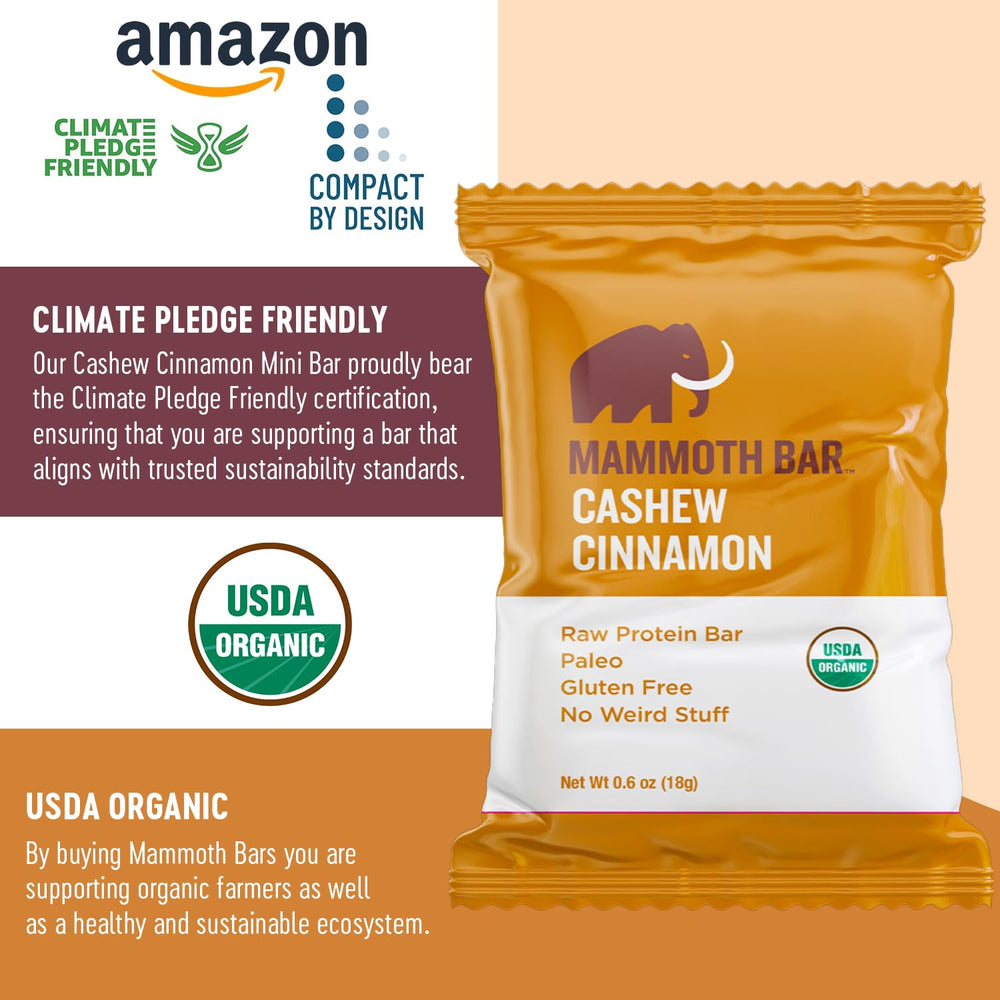 Mammoth Bar Cinnamon Cashew Mini Bar cross-section highlights wholesome, raw ingredients