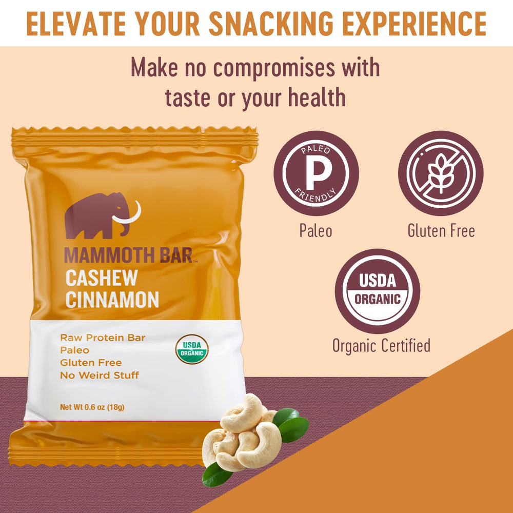 Mammoth Bar Cinnamon Cashew Mini Bar serving scene emphasizes paleo-friendly snack option