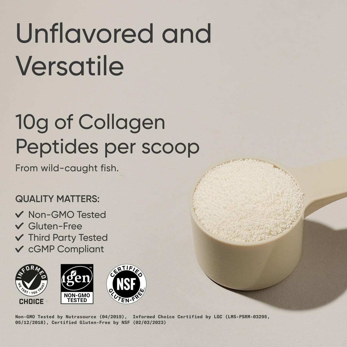 Scoop of collagen peptides powder ready to mix