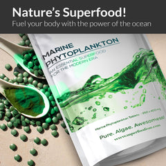Marine phytoplankton powder form