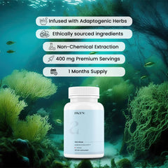 Mars Sea Moss Caps Surge Natural bottle label close-up