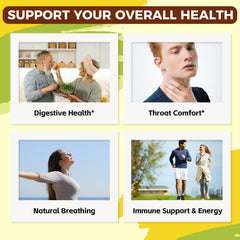 Marshmallow root and licorice extract illustration