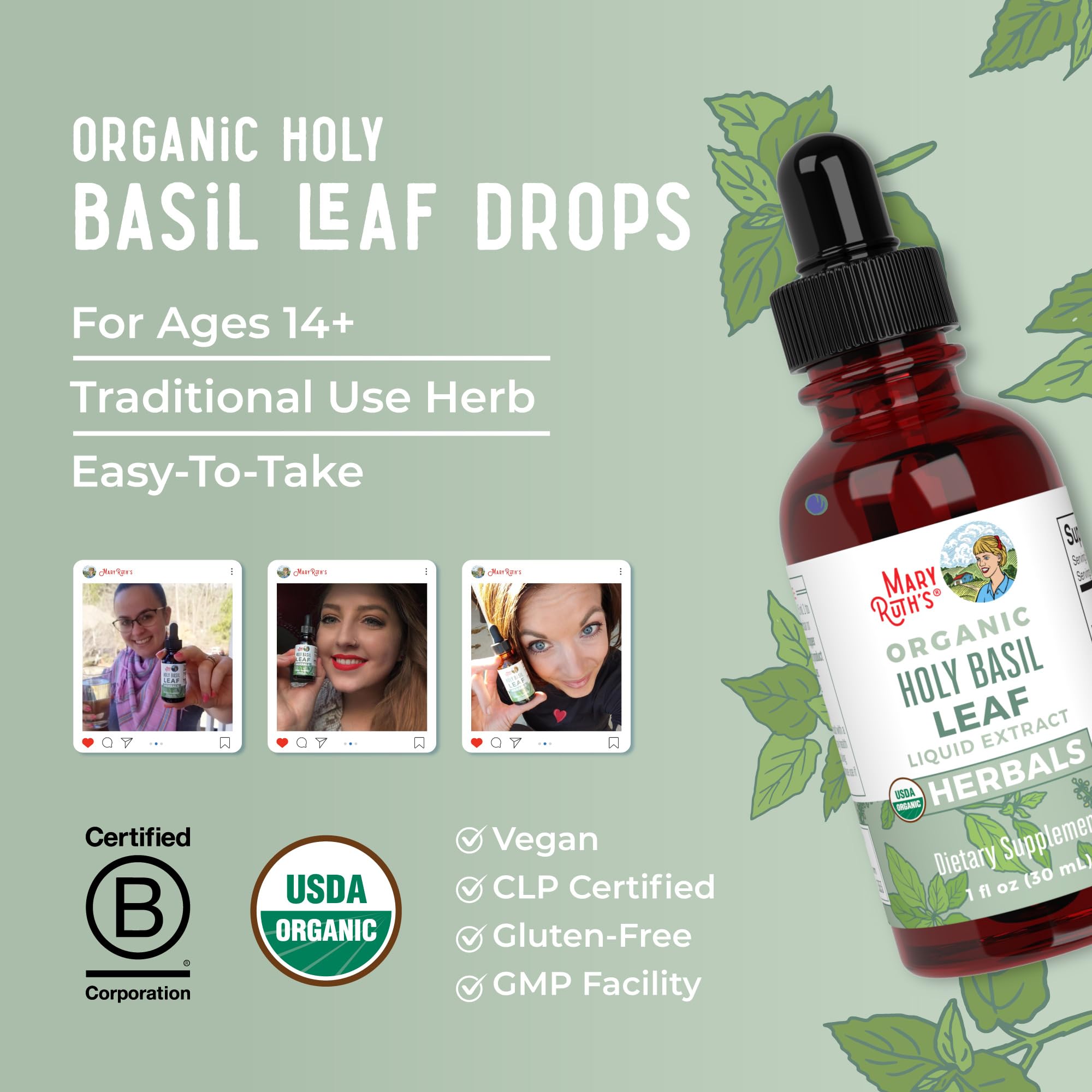 Ingredient imagery featuring Holy Basil leaves