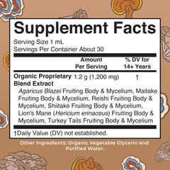 Close-up of six-mushroom ingredients in the blend