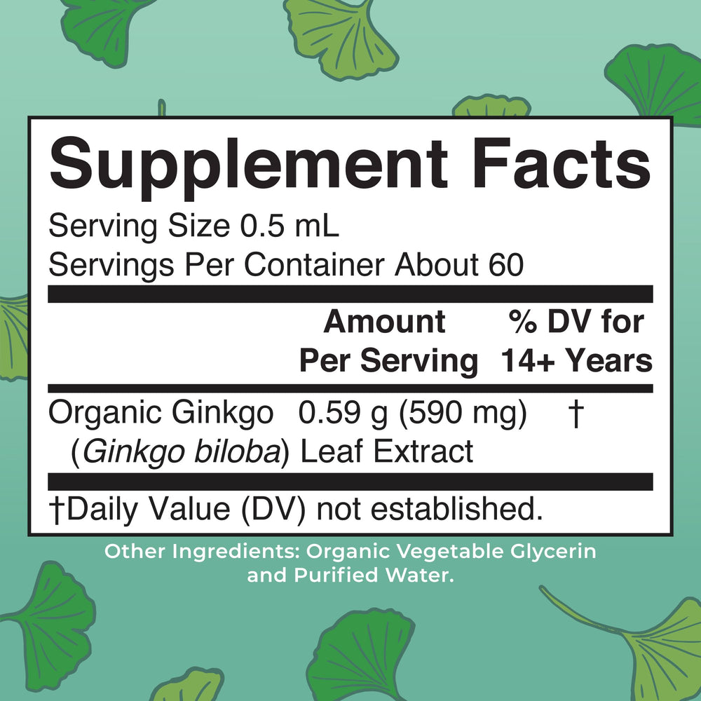 Close-up of Ginkgo biloba leaves used in the formula