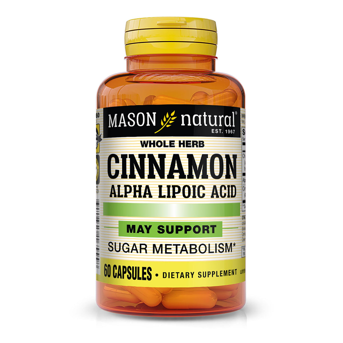 Bottle of Mason Natural Cinnamon Alpha Lipoic Acid Chromium 60 capsules