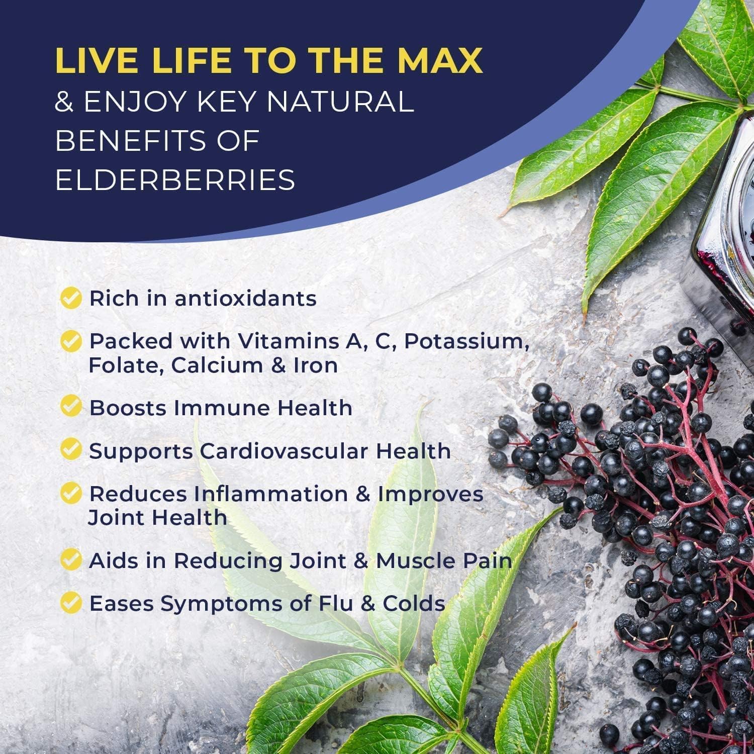 Back view of MaxImmunity Organic Elderberry Syrup 2-pack