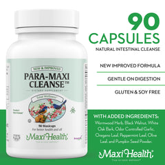 Illustration of balanced gut and digestive system