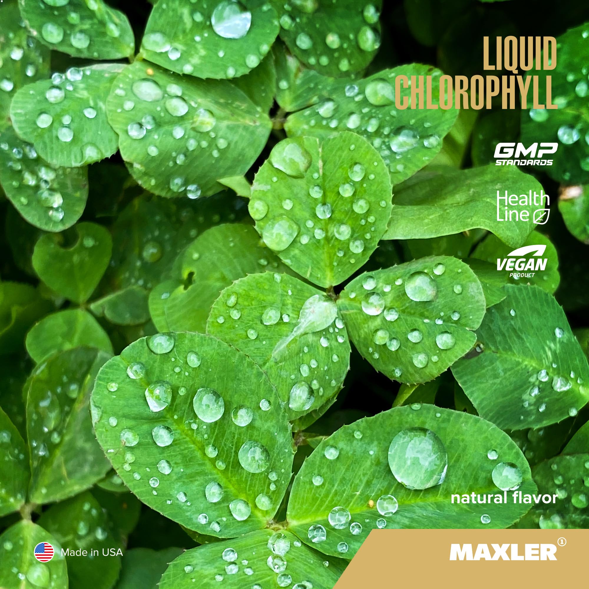 Maxler Chlorophyll Liquid bottle – back label