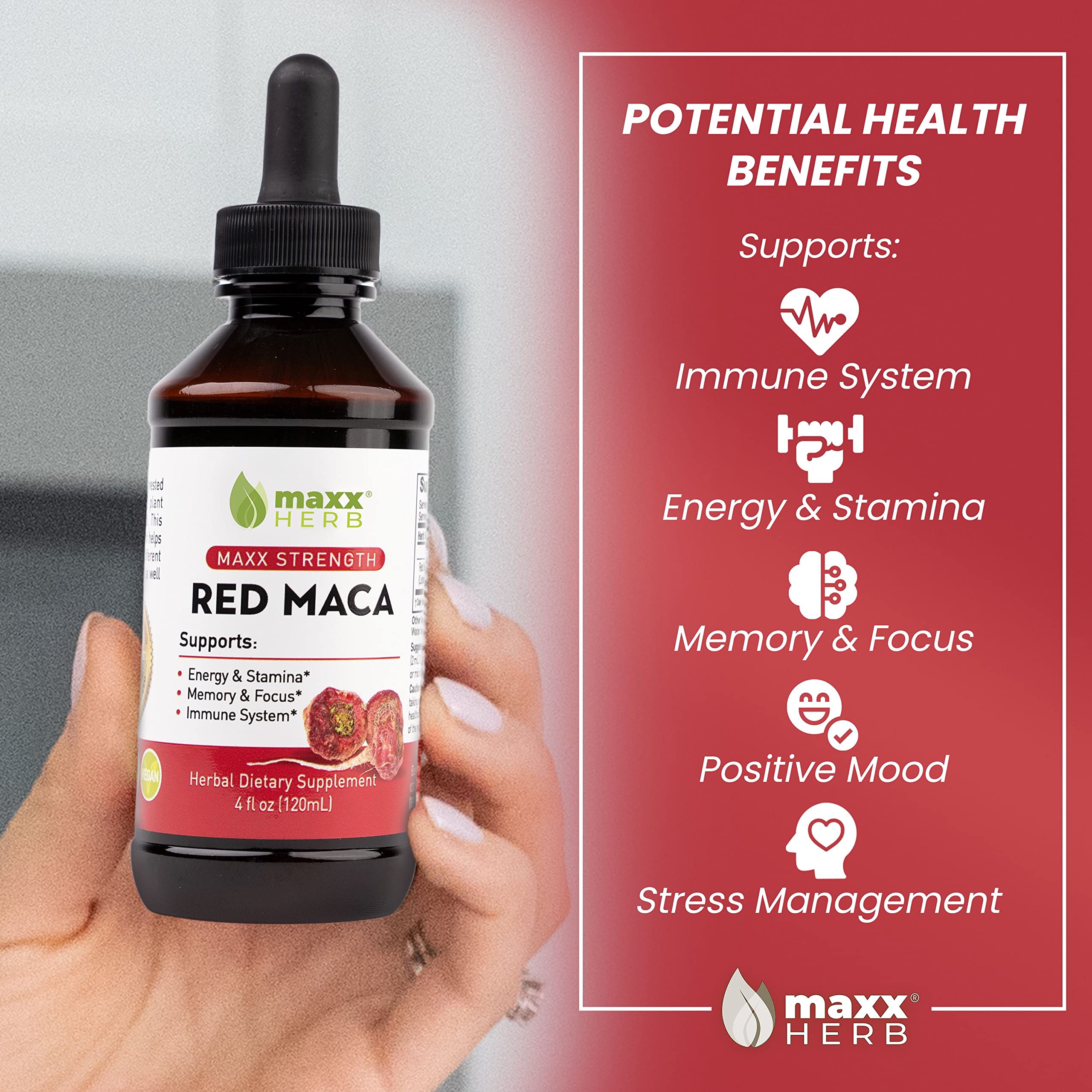 Graphic illustrating concentrated red maca extract