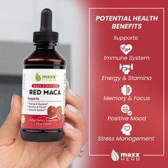 Graphic illustrating concentrated red maca extract