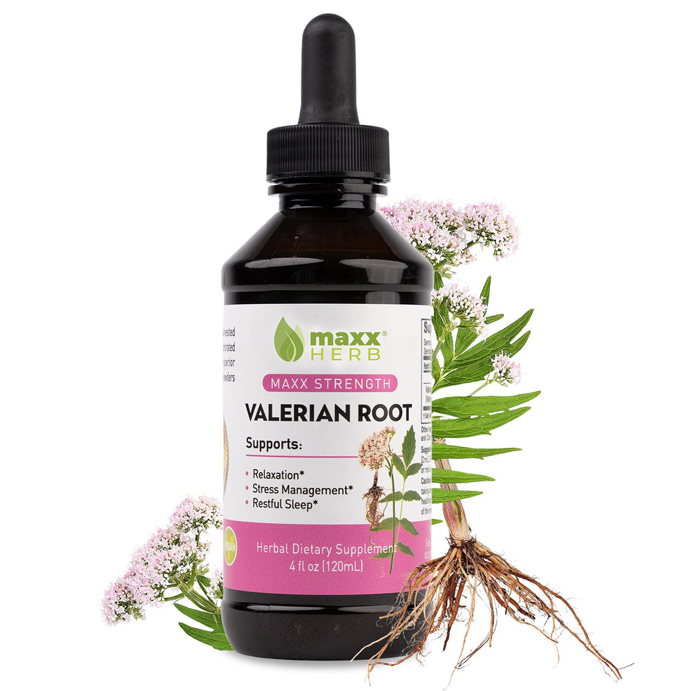 Front view of Maxx Herb Valerian Liquid 4 oz bottle
