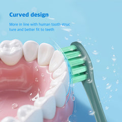 MediGenius Oclean replacement heads compatibility - X Pro Elite and more