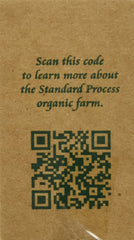 Illustration of adrenal glands with supplement capsules