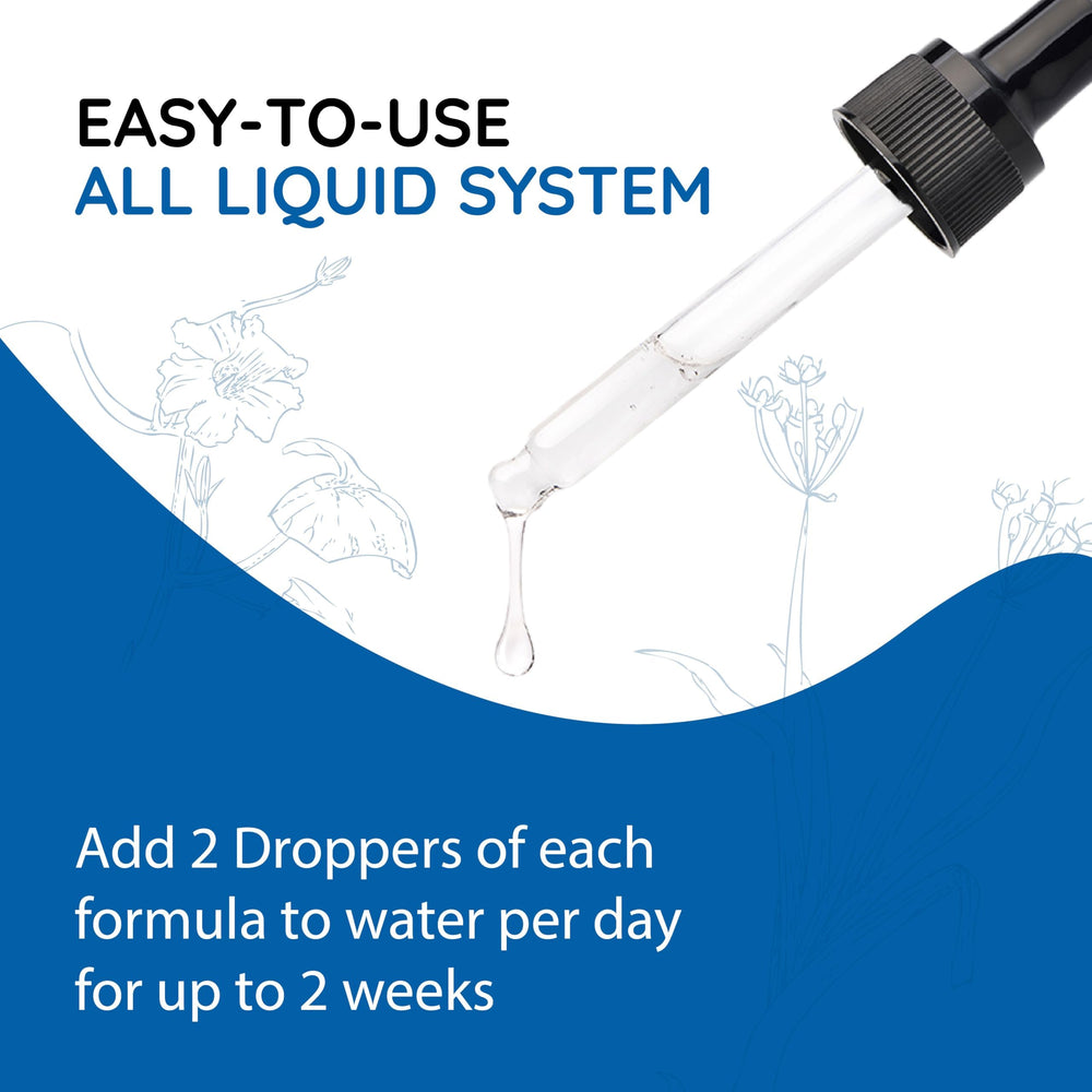 MediNatura BodyAnew Cleanse travel pack for on-the-go hydration.