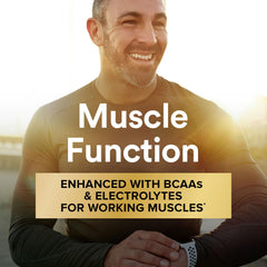 Illustration of lycopene, saw palmetto and pumpkin seed