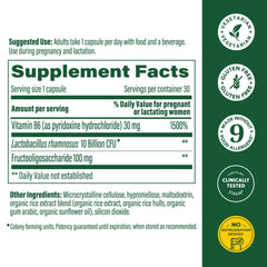 LGG probiotic strain illustration