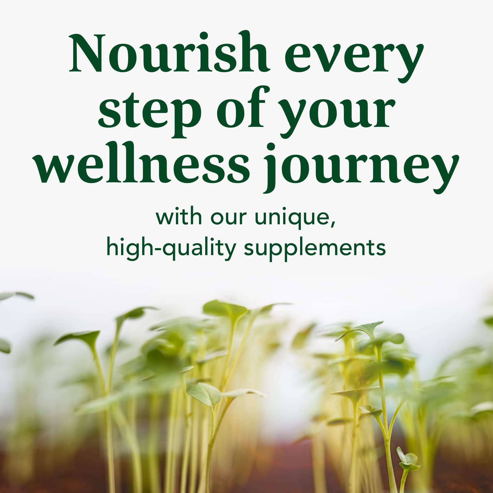 Packaging showing vegan and non-GMO claims and allergen-free statement