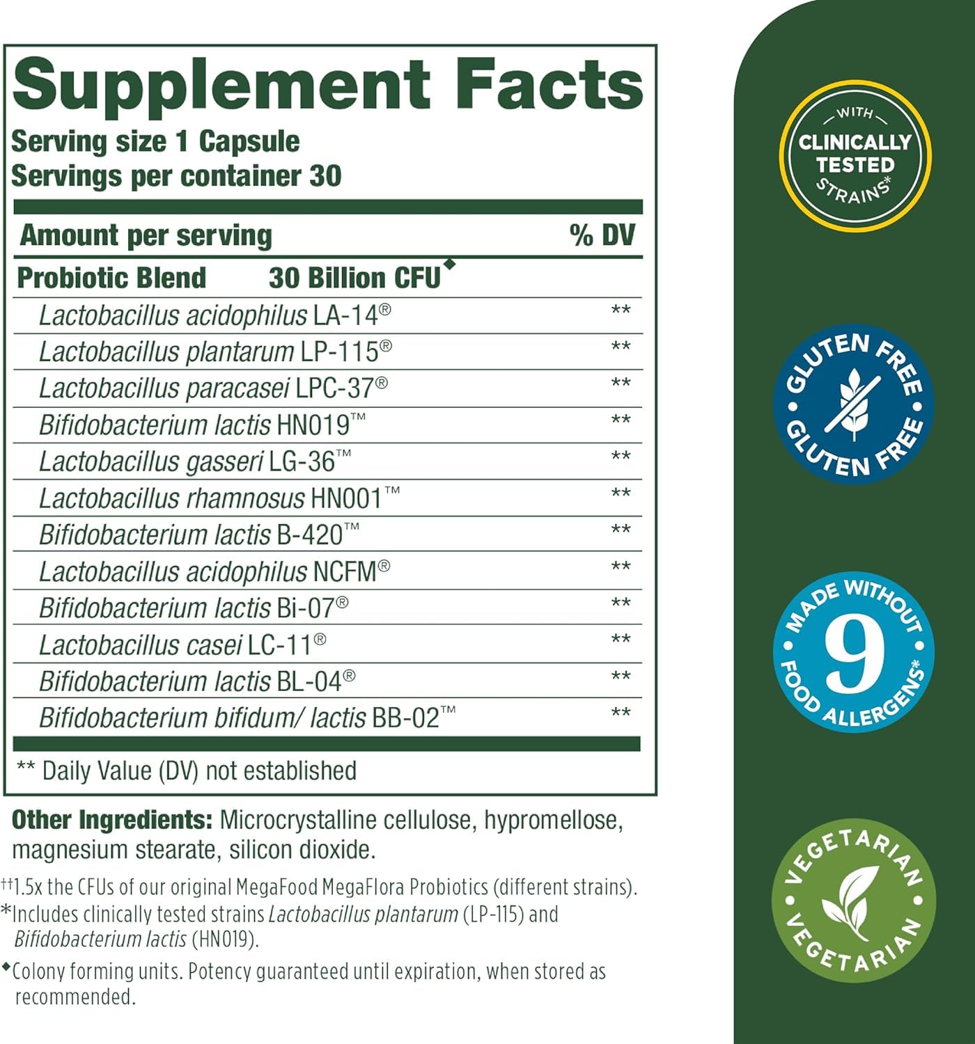 Illustration of B. lactis HN019 probiotic strain