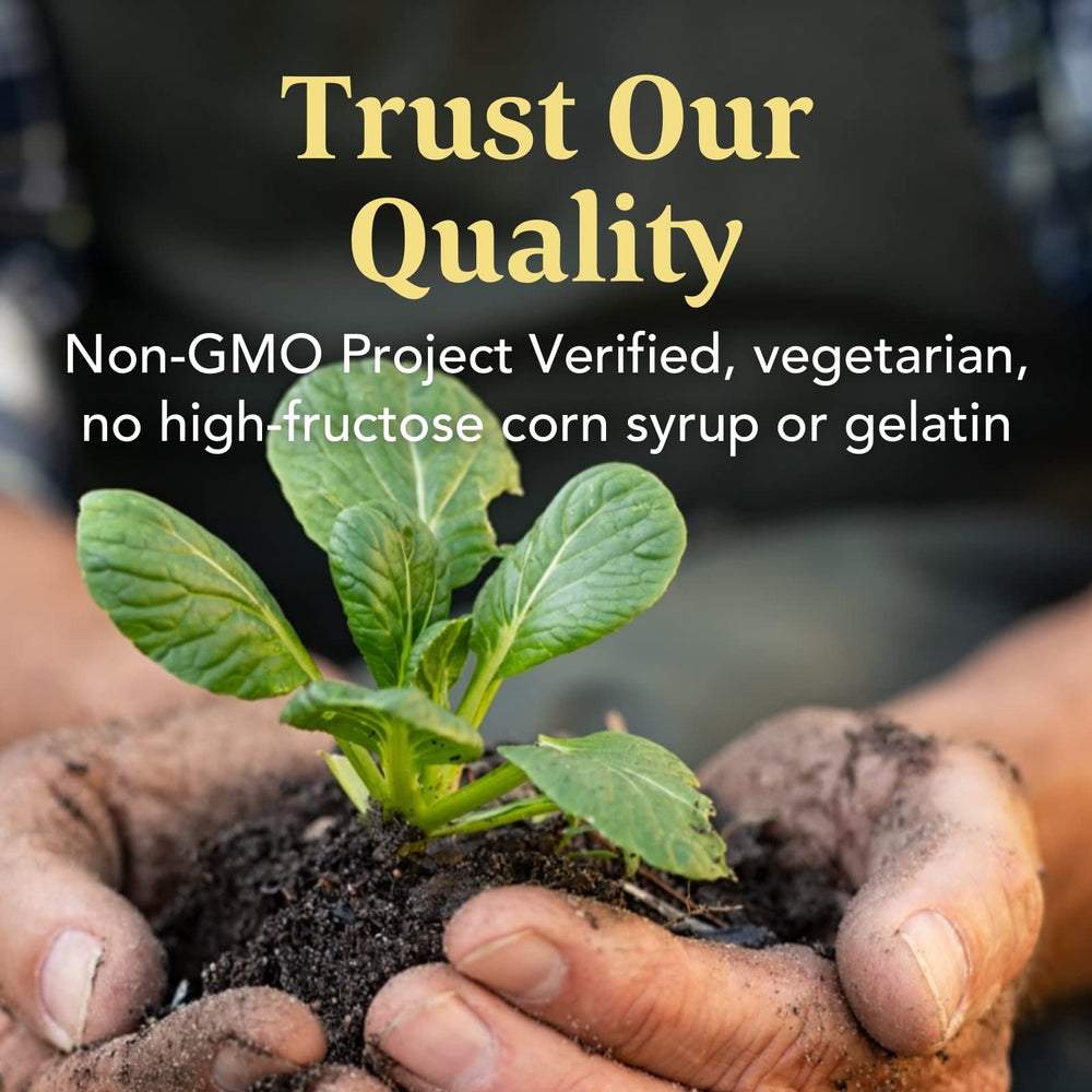 Three-pack of MegaFood Women's Multi Gummies in packaging