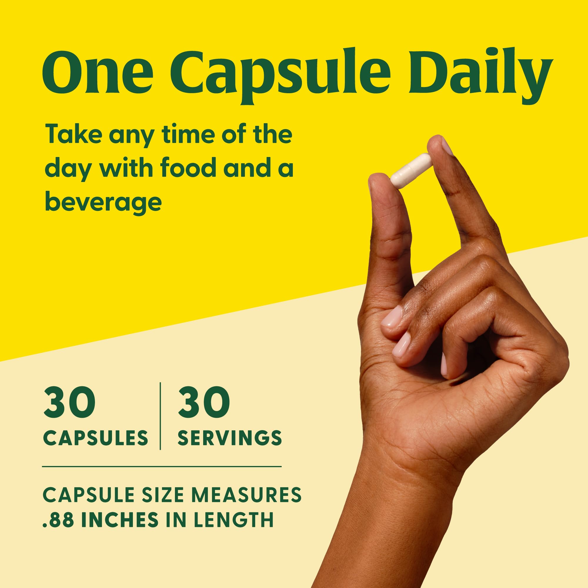 Plant-based prebiotic ingredients illustration