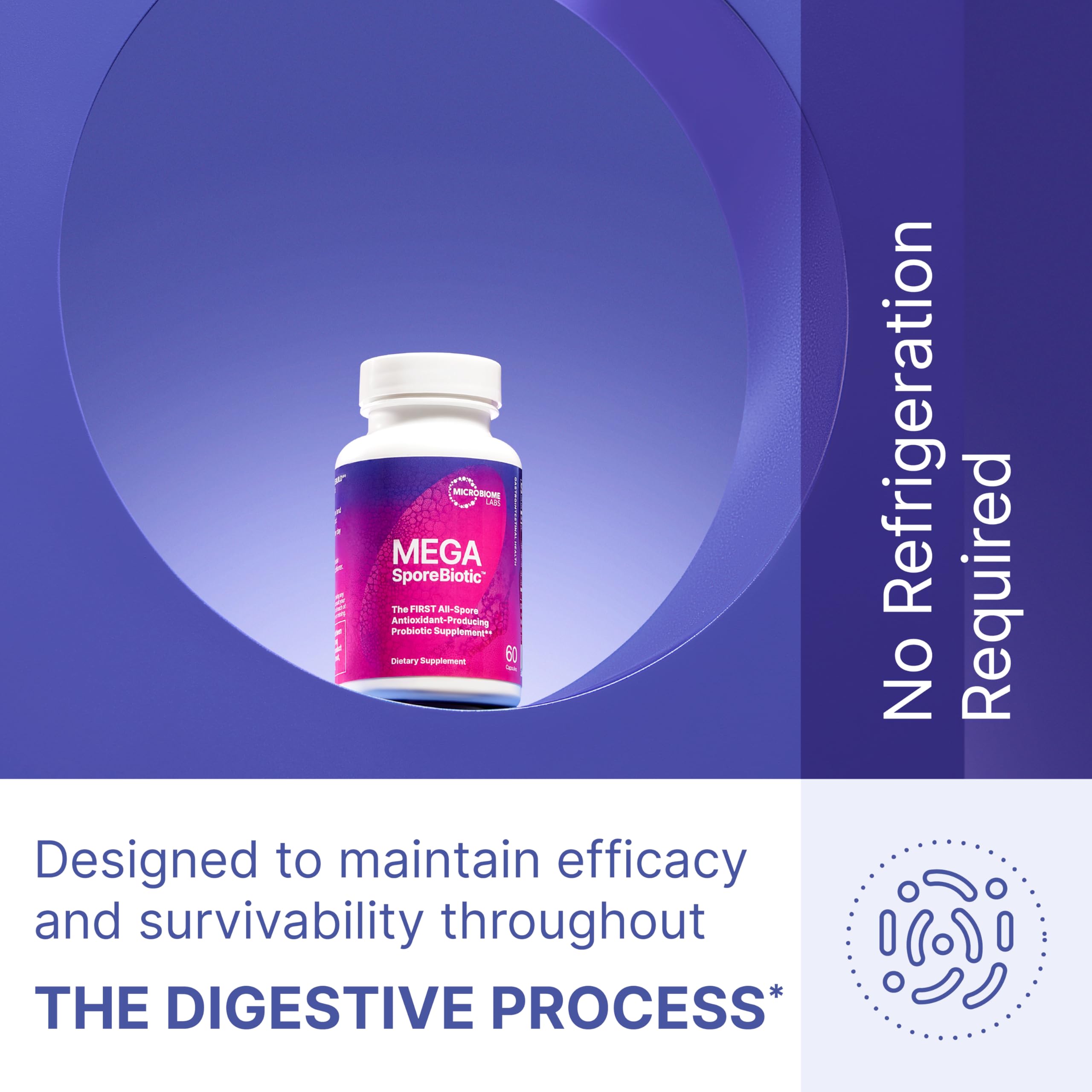 Spores surviving digestion and reaching the gut