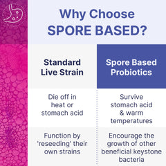 Spores surviving harsh conditions and activating in the gut