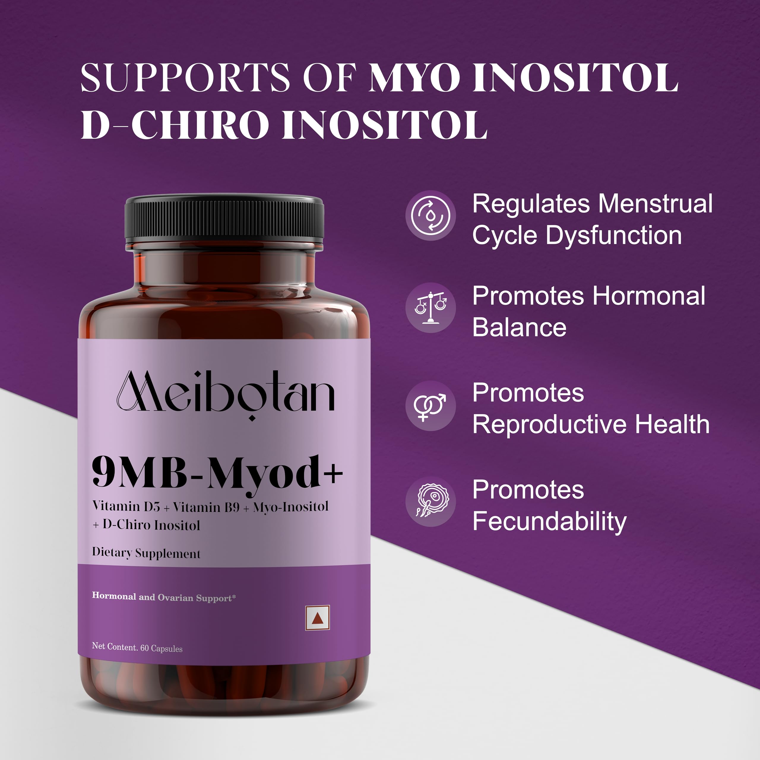 Illustration of hormonal balance and ovarian function support
