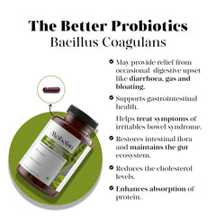 Digestive health infographic featuring MEIBOTAN Bacillus Coagulans.