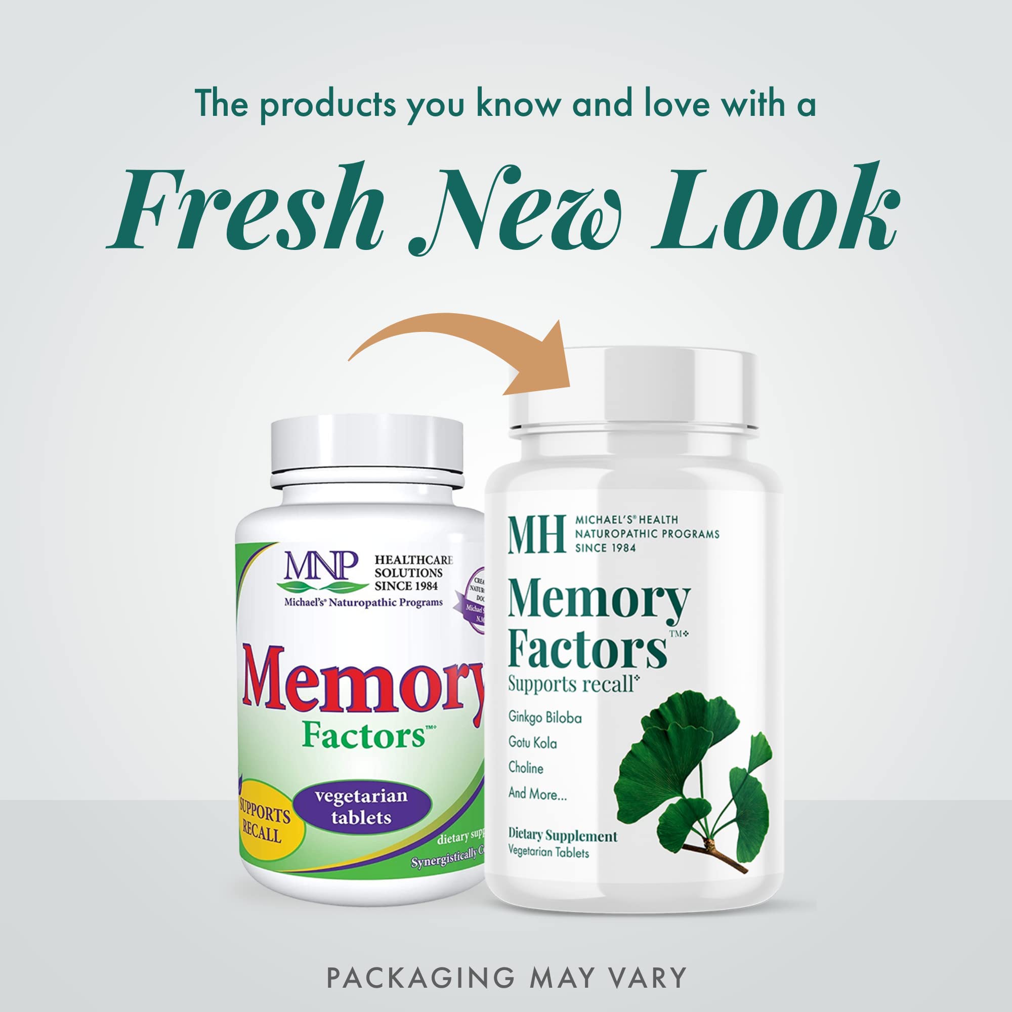 Ginkgo biloba leaf close-up