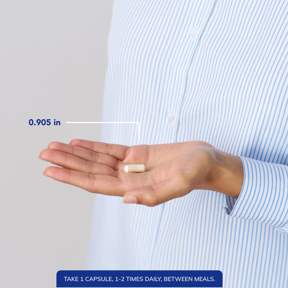 Memory and focus support imagery for brain health